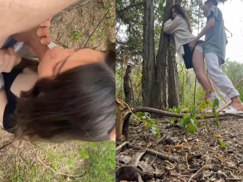 Trả bài nhau trong rừng vừa thổi kèn vừa run vì sướng